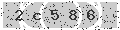 verify code