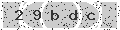 verify code