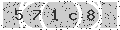 verify code