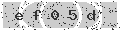 verify code