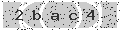 verify code