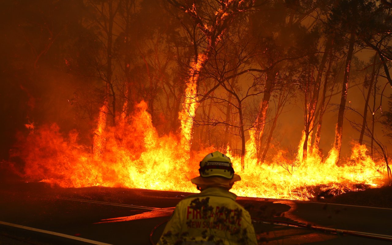 Supporting those affected by the devastating bush fires